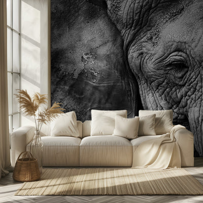 Elephant skin rumsbild 2