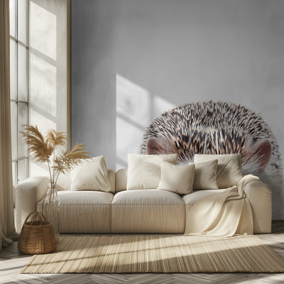 Peeking Hedgehog rumsbild 2