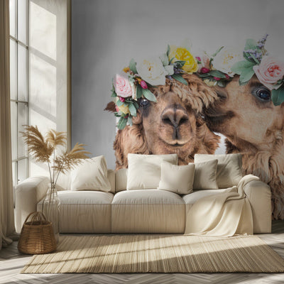 Boho Alpacas rumsbild 2