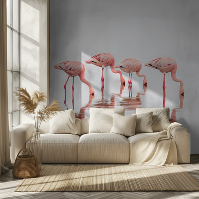 Flamingos in the mist rumsbild 2