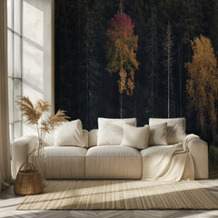 Autumn Forest Contrast