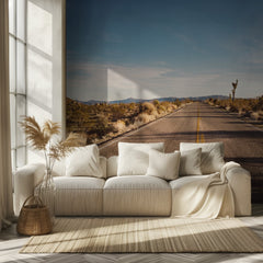 Open Desert Road