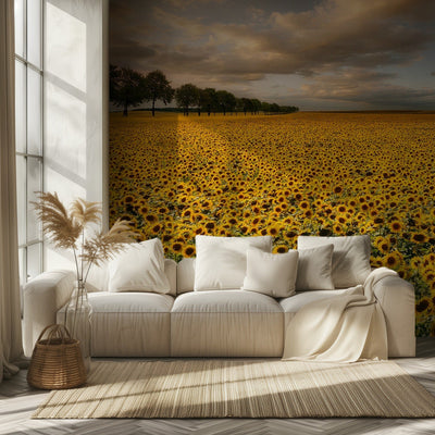 Sunflowers rumsbild 2