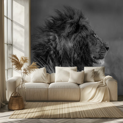 The king is alone rumsbild 2