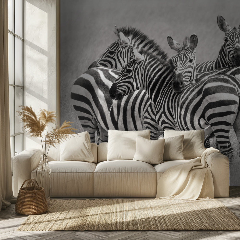 Zebras