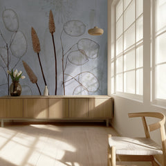 Lunaria