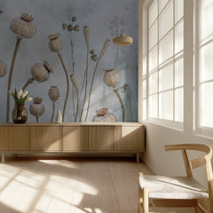 Papaver