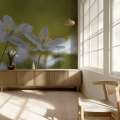 Wood Anemones