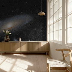 Andromeda Spiral Galaxy