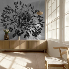 Anemone