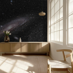 Andromeda Galaxy Stars