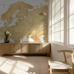 Antique Europe Gold Map