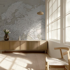 Vintage Europe Map