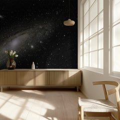 Andromeda Galaxy Stars