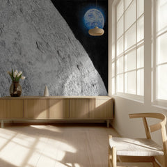 Lunar Surface Earth View
