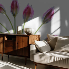 Tulipa