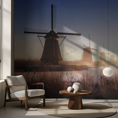 Kinderdijk 4. rumsbild 3