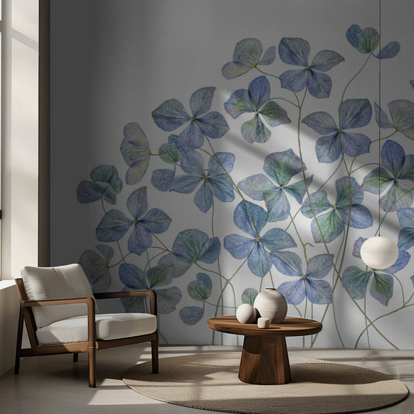 Hydrangea miljöbild 2
