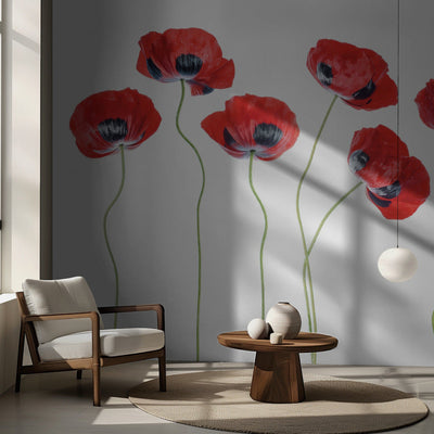 Ladybird Poppies rumsbild 2