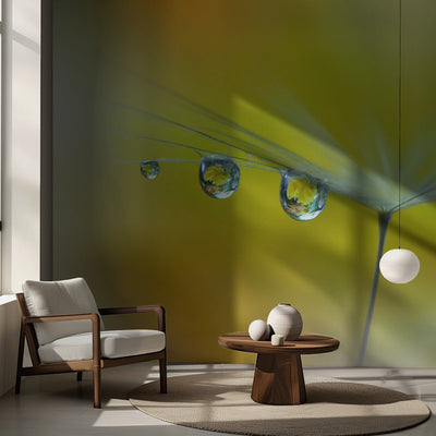 SunBeam...III rumsbild 2
