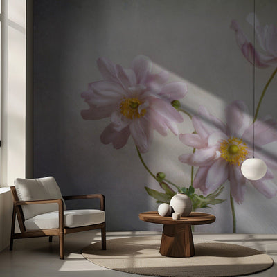 Anemones rumsbild 2