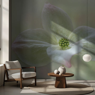 Cornus Kousa rumsbild 3