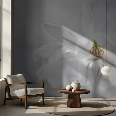 Magnolia Stellarta rumsbild 3
