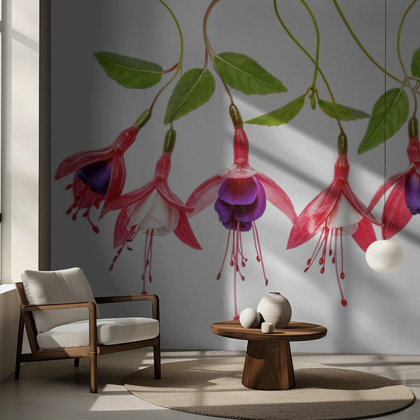 .Fuchsia. bild 3