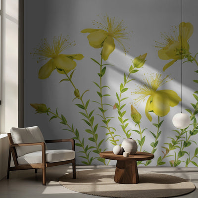 Hypericum rumsbild 3