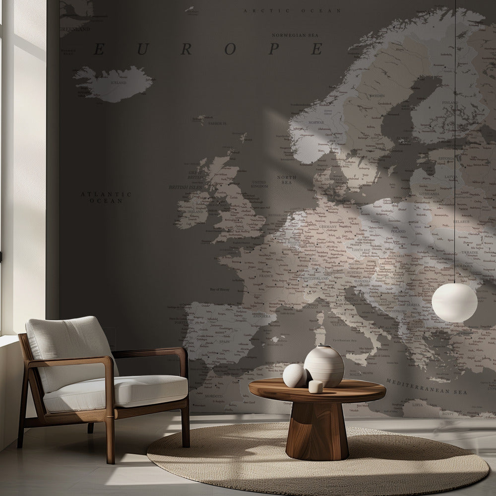 Earth tones detailed map of Europe