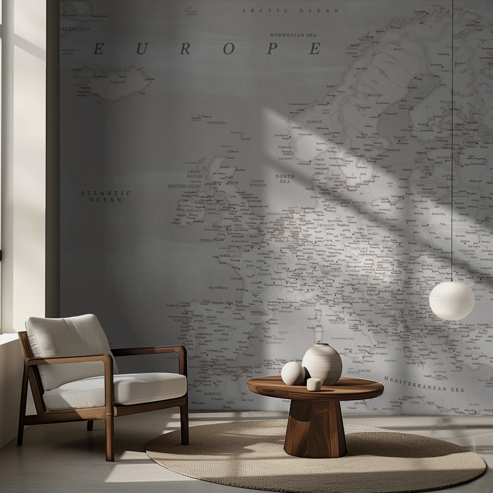 Lysander detailed map of Europe
