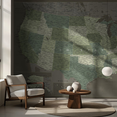 Highly detailed map of the United States, Camo rumsbild 2
