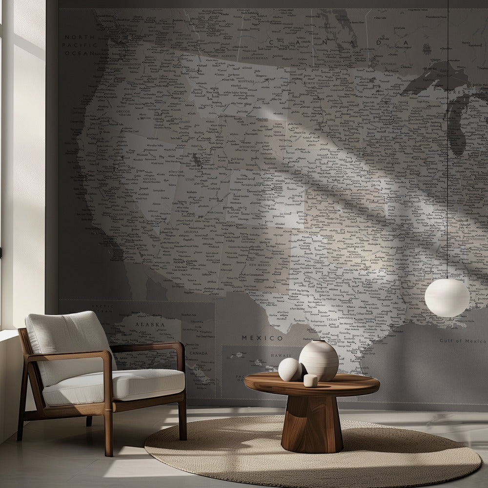 Highly detailed map of the United States, dark taupe