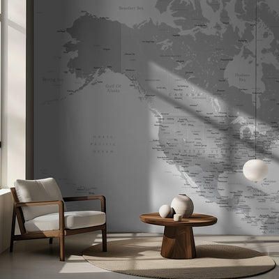 Gray map of North America with cities rumsbild 2