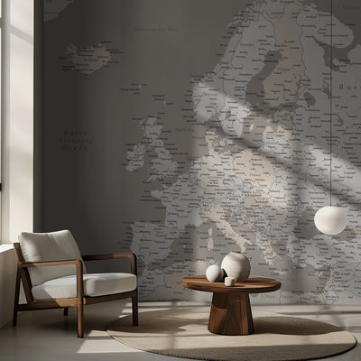 High detail map of Europe in neutrals rumsbild 2