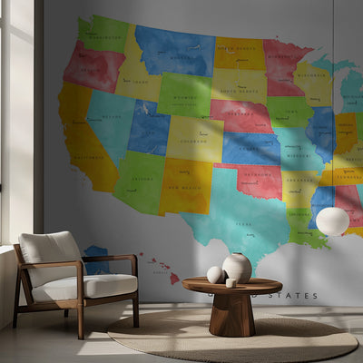 Colorful map of the United States with States and State capitals - pedagogisk karta över USA rumsbild 2