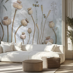 Papaver