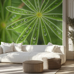 Fresh Green Dewdrops