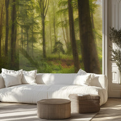Misty Forest Sunlight