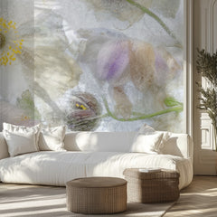 Anemone frost