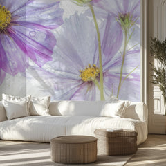 Cosmos cool