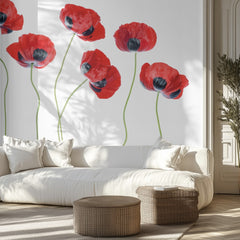 Ladybird Poppies
