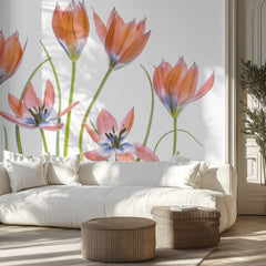 Apricot Tulips