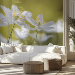 Wood Anemones
