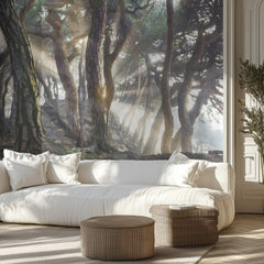 Misty Forest Sunbeams