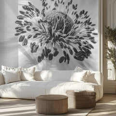 Anemone