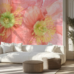 Papaver