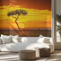 Golden African Sunset