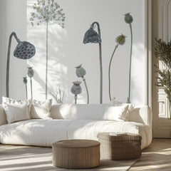 Natural Seed Pods