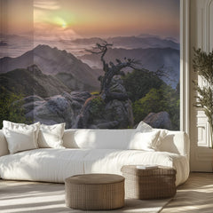 Ancient Tree Sunrise